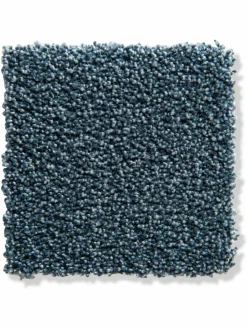 Aberdeen|Kibek Clearance