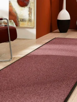 Aktiv-Spezial|Kibek Online