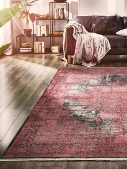 Alessandria|Kibek New