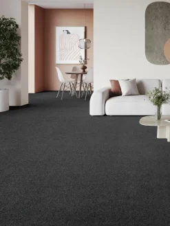 Amador|Kibek Clearance