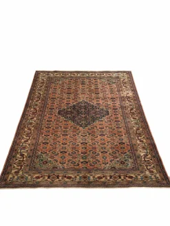 Ardebil Semiantik|Kibek Clearance