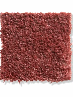 Atlantis|Kibek Outlet