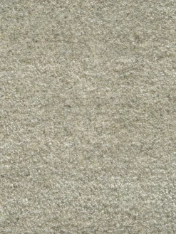 Auckland|Kibek Discount