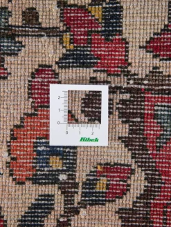 Bachtiar|Kibek Clearance