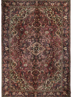 Bachtiar|Kibek Online