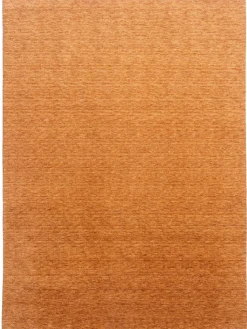 Barwala|Kibek Online