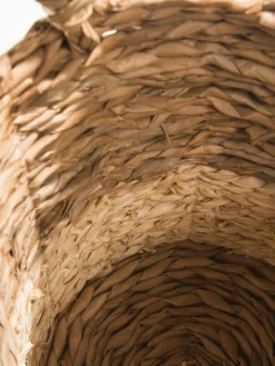 Basket Rush|Kibek Hot