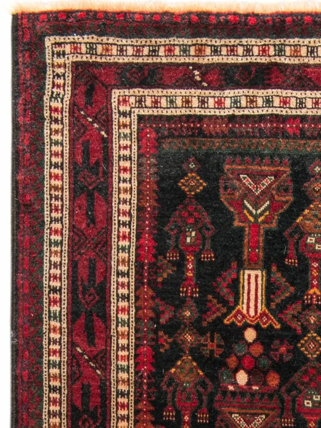 Belutsch|Kibek Clearance