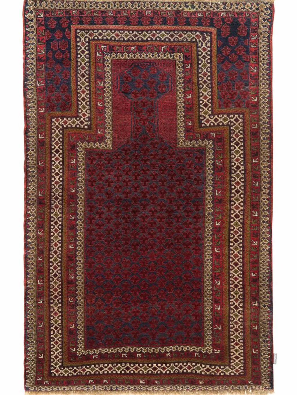 Belutsch|Kibek Discount