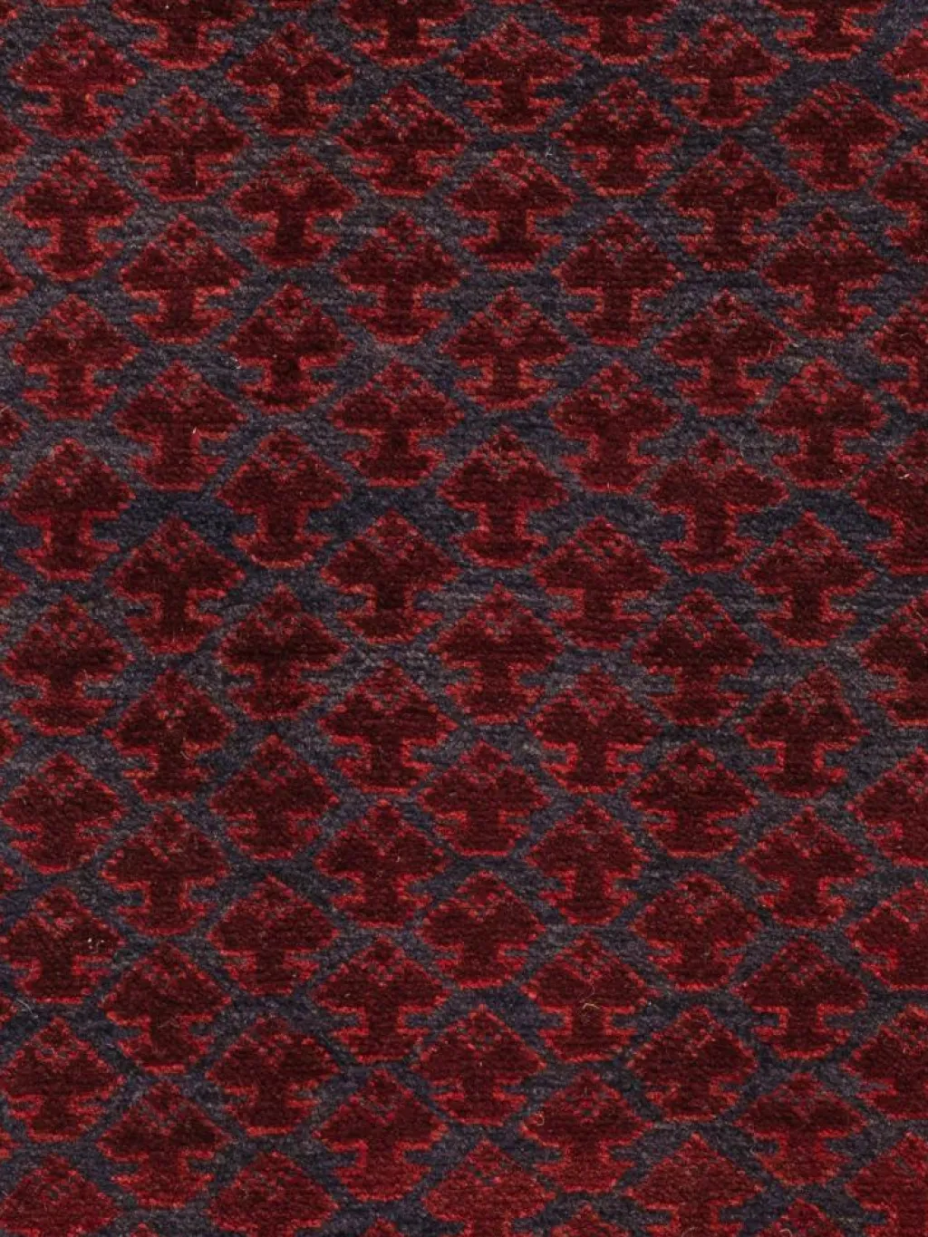 Belutsch|Kibek Discount