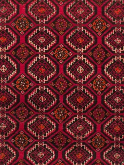 Belutsch|Kibek Discount