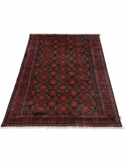 Belutsch|Kibek Discount