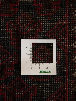 Belutsch|Kibek Discount