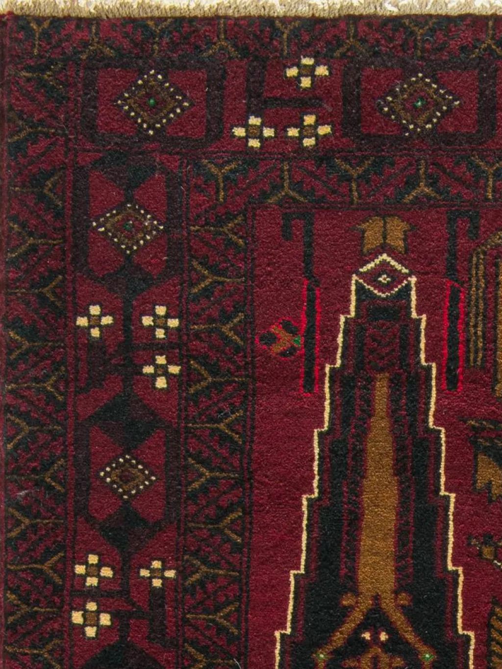 Belutsch|Kibek Discount