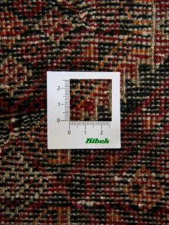 Belutsch|Kibek Online