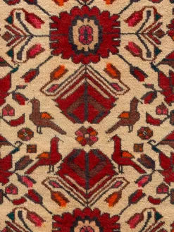 Belutsch|Kibek Discount