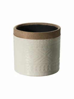 Bengal|Kibek Discount