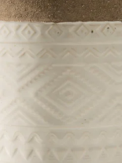 Bengal|Kibek Discount