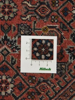 Bidjar Tekab|Kibek Discount