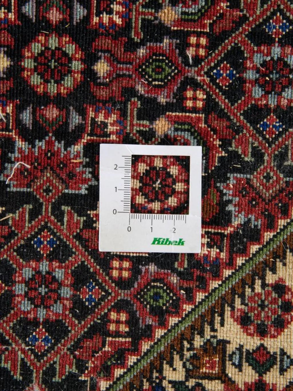 Bidjar Tekab|Kibek Online