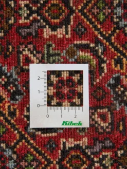 Bidjar Zandjan|Kibek