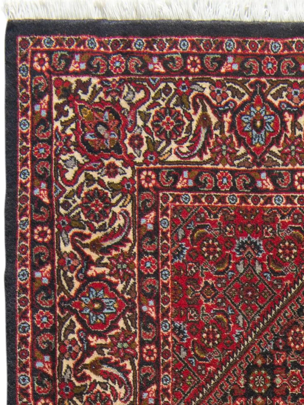 Bidjar Zandjan|Kibek New