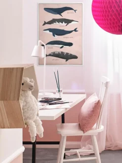 Big Whales|Kibek Hot