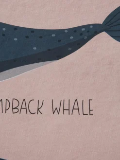 Big Whales|Kibek Hot