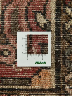 Borchalou Hamadan|Kibek Hot