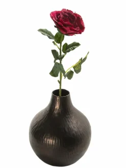 Brownie|Kibek Clearance