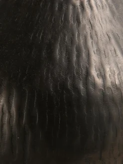 Brownie|Kibek Clearance