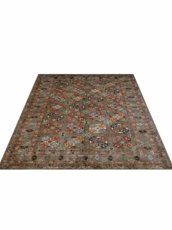 Buchara Ghazni|Kibek Clearance