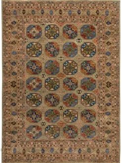 Buchara Ghazni|Kibek Clearance