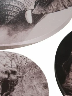 Canvas 3er|Kibek Online