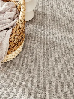 Catania|Kibek Online