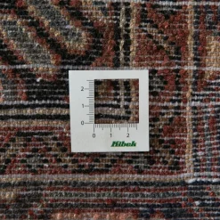 Chenar Hamadan|Kibek Best