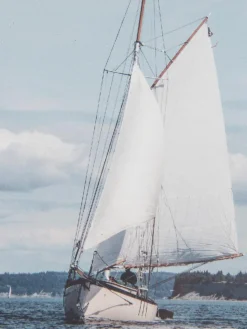 Collage Sea|Kibek Clearance