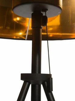 Cozy Shine|Kibek Clearance