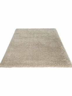 Creation|Kibek Online