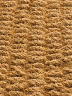 Dalma|Kibek Clearance