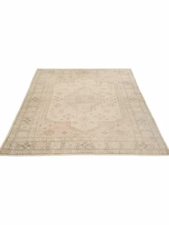 Dhanera|Kibek Clearance