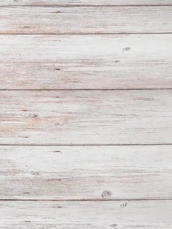 Digital Rollo|Kibek New