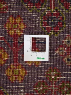 Djosheghan|Kibek Outlet