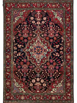 Djozan Hamadan|Kibek New