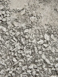 Düne am Meer|Kibek Discount