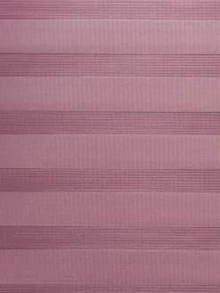 Duo Starlight|Kibek Outlet