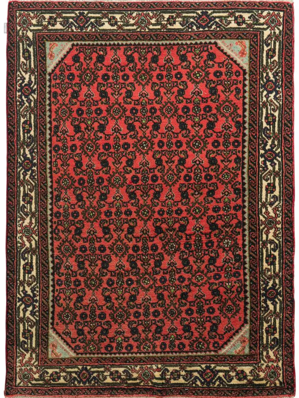 Endjelas Hamadan|Kibek New