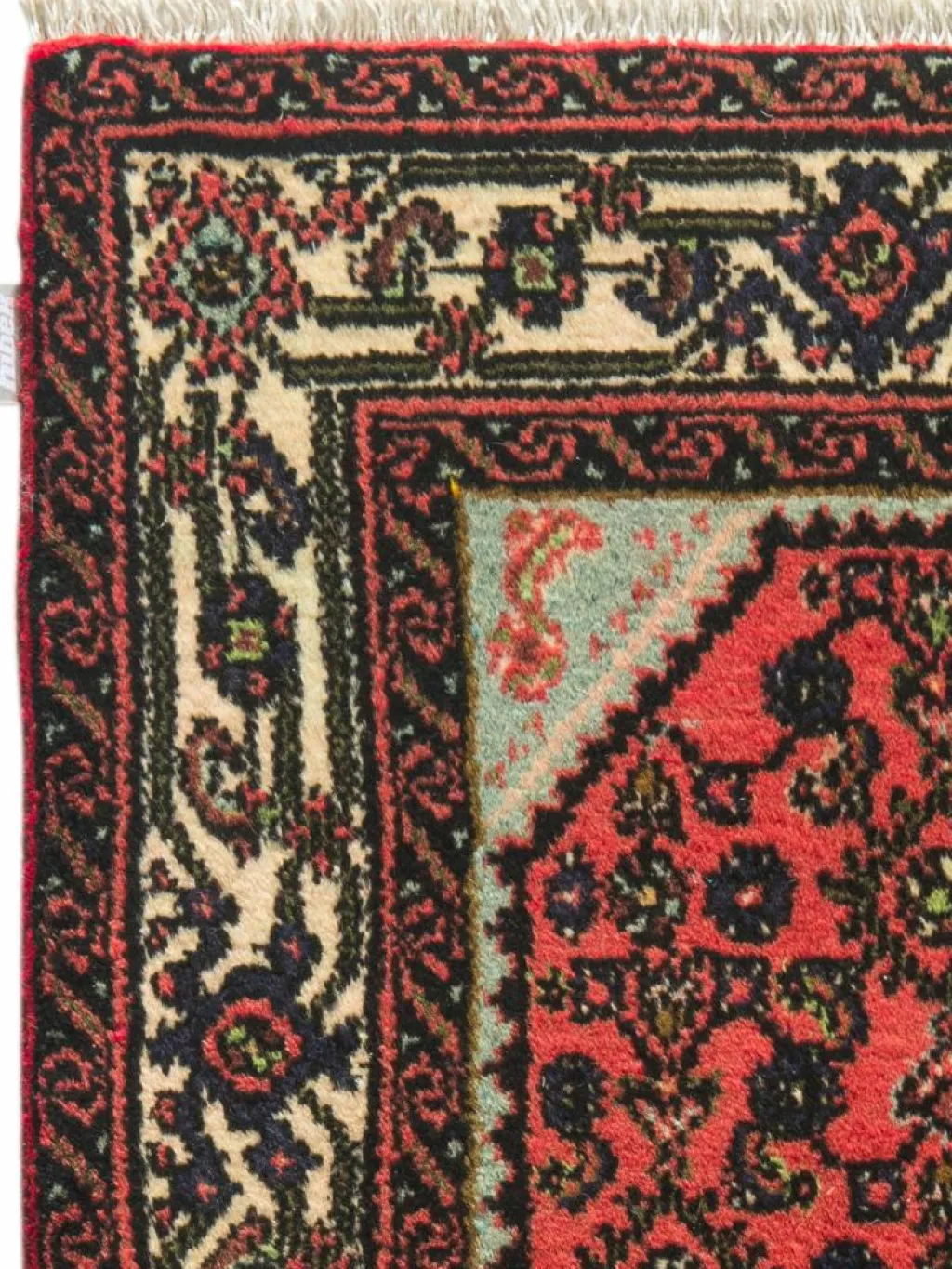 Endjelas Hamadan|Kibek New