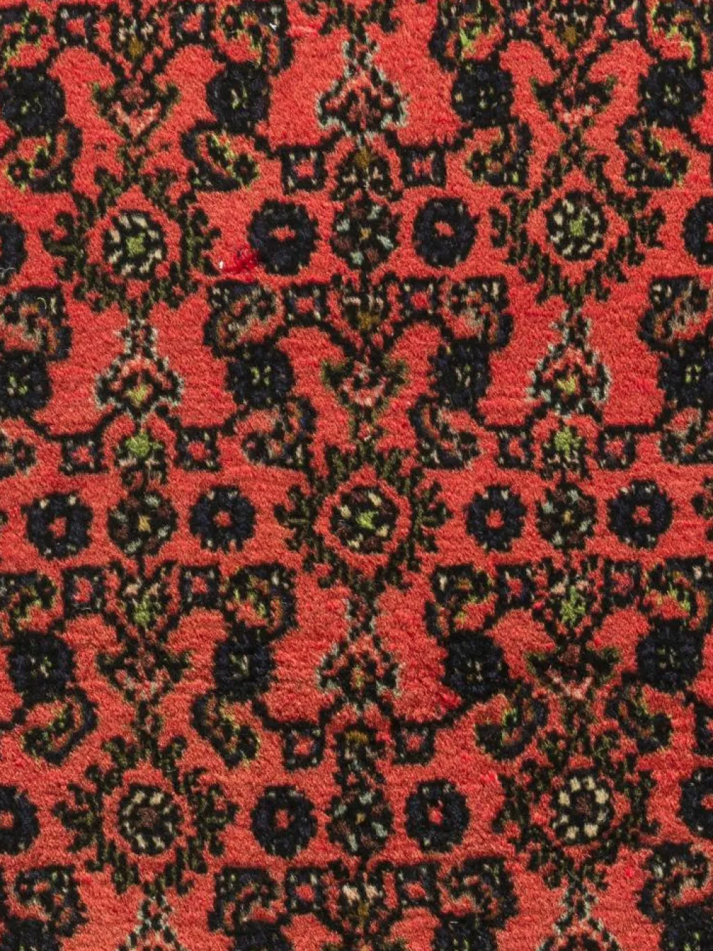 Endjelas Hamadan|Kibek New