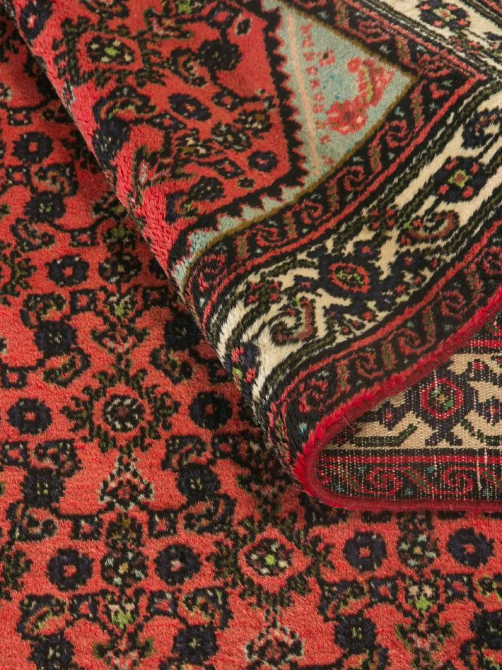 Endjelas Hamadan|Kibek New